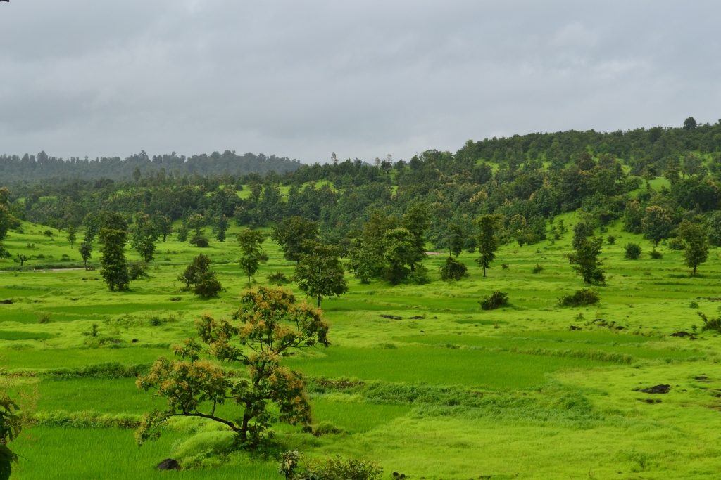 Khardi's rolling hills covered with green during monsoon
