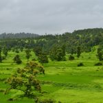 Khardi's rolling hills covered with green during monsoon