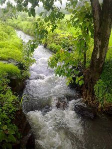 In Khardi temporary streams pop up in monsoon