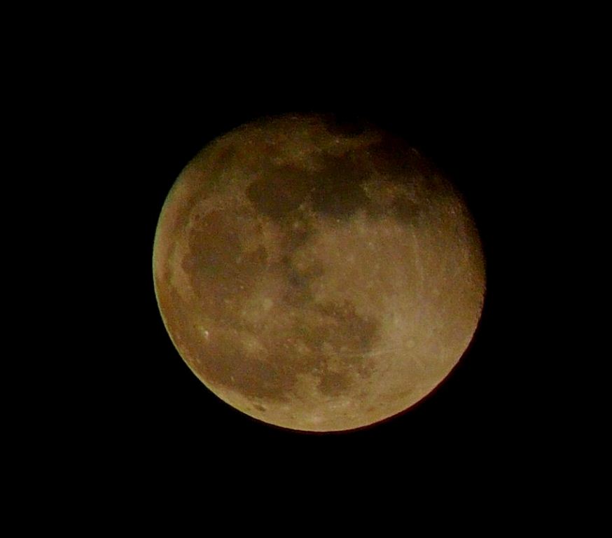 Closeup photo of the moon