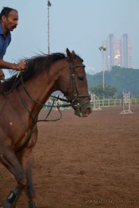 Trainer and horse in a practice session at Mahalakshmi Race Course