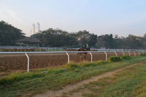 A trainer gallops past at the Royal Turf Club in Mumbai