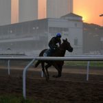 Horse and trainer against Mumbai skyline backdrop at Mahalaxmi or Mahalakshmi Race Course