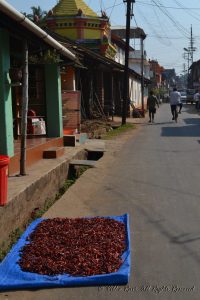 Chillies drying on the road in Malvan