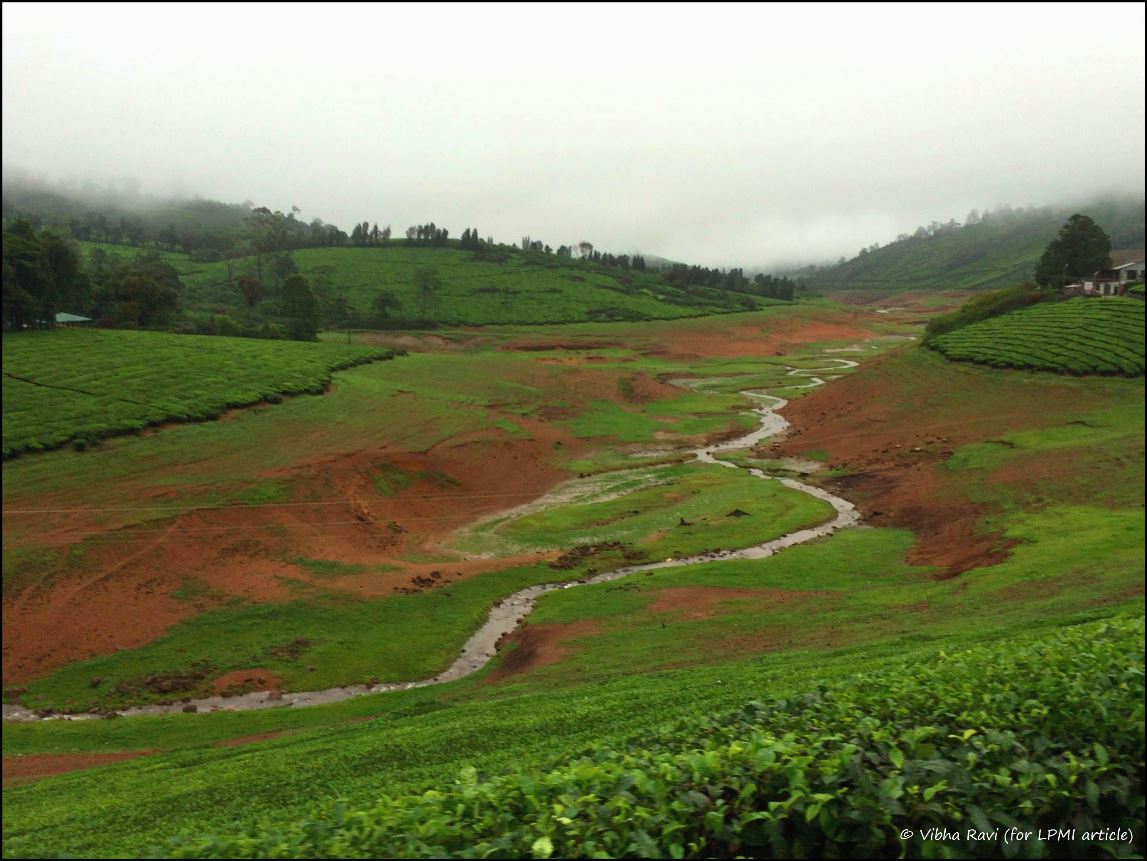 Scenic Meghamalai Hills in Tamil Nadu