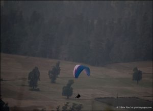 Paraglider landing in Saputara valley