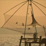 Chinese fishing net Ashtamudi sunrise